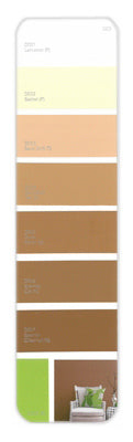 10PK Palette Card D03