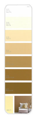10PK Palette Card D12