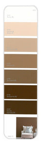 10PK Palette Card D10