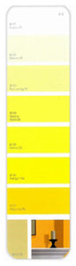 10PK Palette Card B12