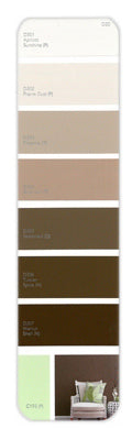 10PK Palette Card D30