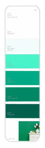 10PK Palette Card C34