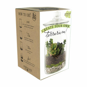 Terrarium Kit