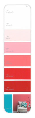 10PK Palette Card A15