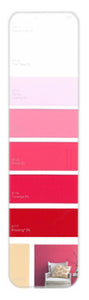 10PK Palette Card A11