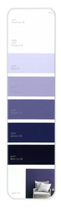 10PK Palette Card A40
