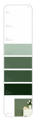 10PK Palette Card C22