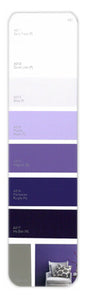 10PK Palette Card A31