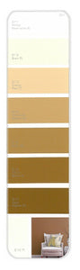 10PK Palette Card D11