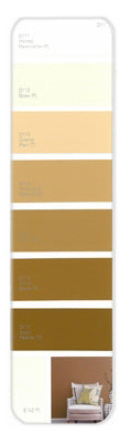 10PK Palette Card D11