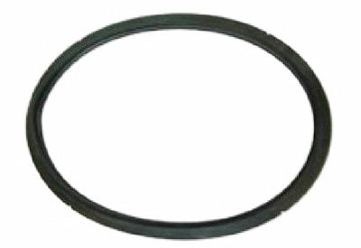 Pressure Cooker Gasket, 12-22-Qt.