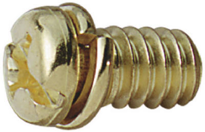 Ceiling Fan Motor Screws, Antique Brass Finish, 10-Pk.