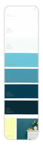 10PK Palette Card C23