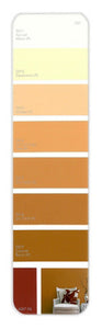 10PK Palette Card D01