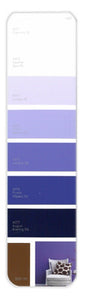 10PK Palette Card A37