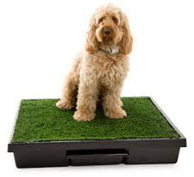 Pet Loo Training System, 17 x 21-In.