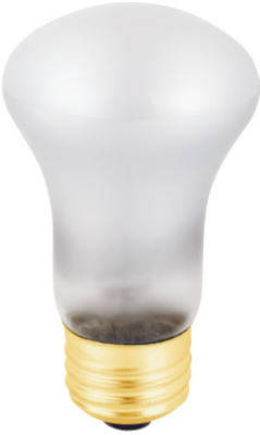 Reflector Spot Light Bulb, 40-Watts